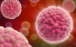 sintomas e tratamento do papilomavírus humano